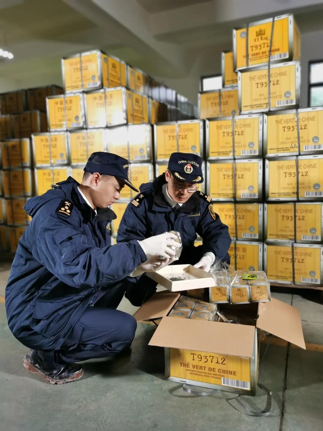 出口外貿(mào)代理