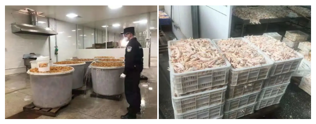 凍品進(jìn)口外貿(mào)代理