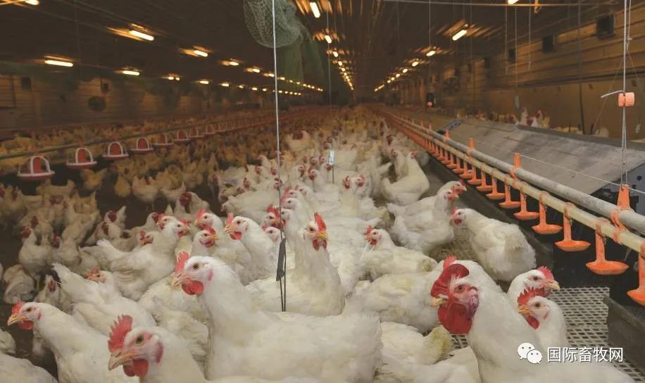 進口外貿(mào)代理