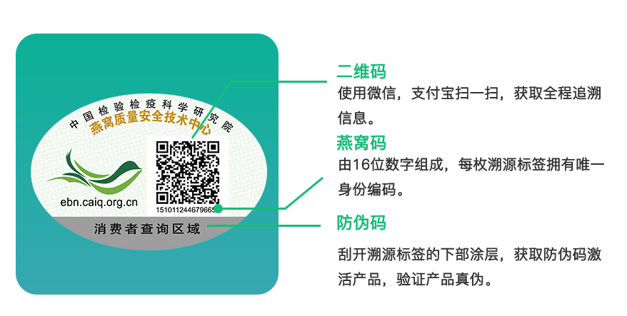 進口外貿(mào)代理