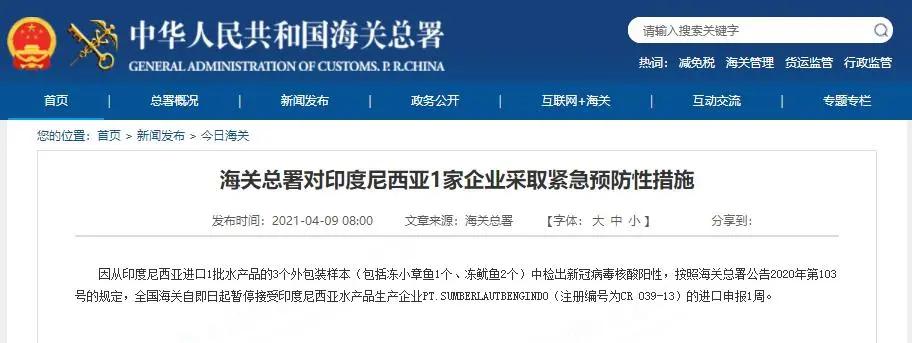 進(jìn)口外貿(mào)代理