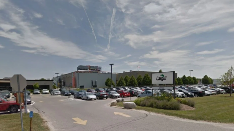 進(jìn)口外貿(mào)代理