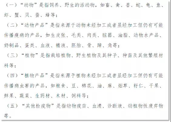 進口外貿(mào)代理