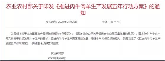 進(jìn)口外貿(mào)代理