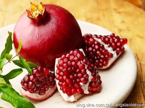 進(jìn)口外貿(mào)代理