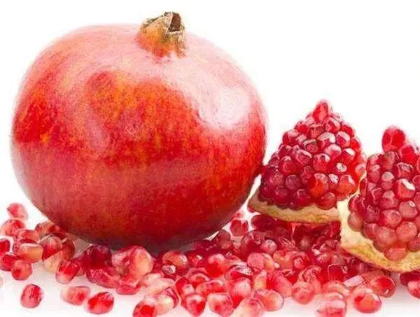 進(jìn)口外貿(mào)代理