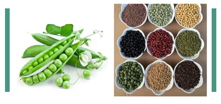 進(jìn)口外貿(mào)代理