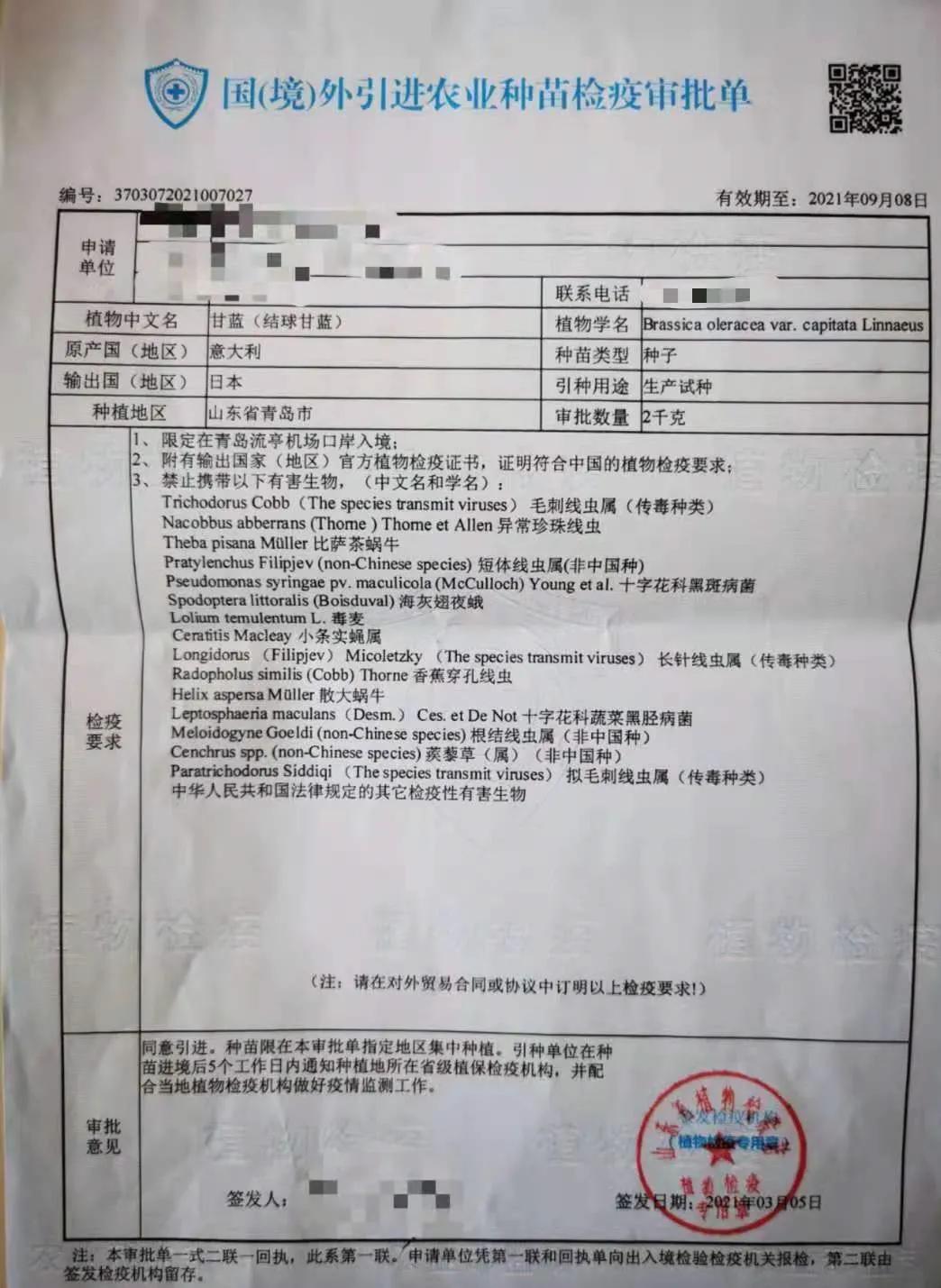 進(jìn)口外貿(mào)代理