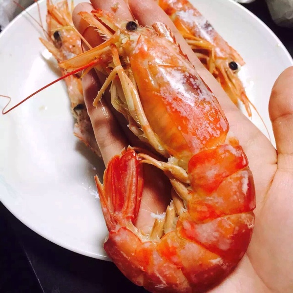 進口外貿(mào)代理