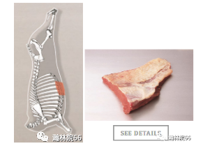 進(jìn)口外貿(mào)代理