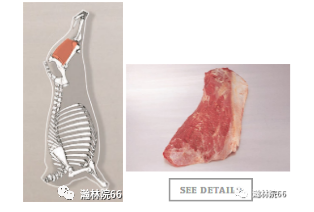 進(jìn)口外貿(mào)代理