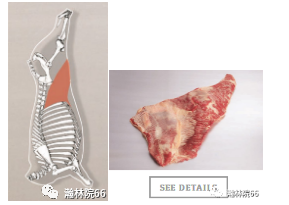 進(jìn)口外貿(mào)代理