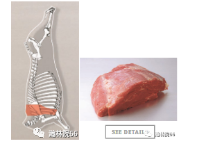 進(jìn)口外貿(mào)代理