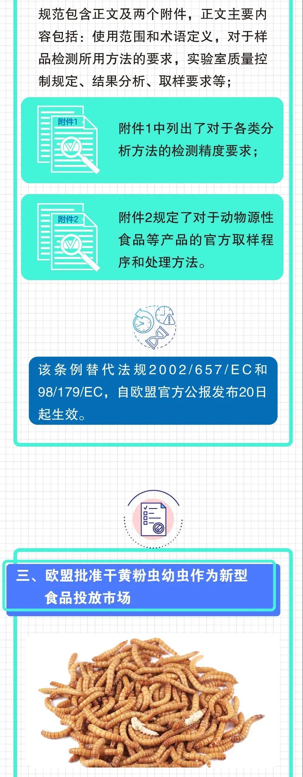 出口外貿(mào)代理