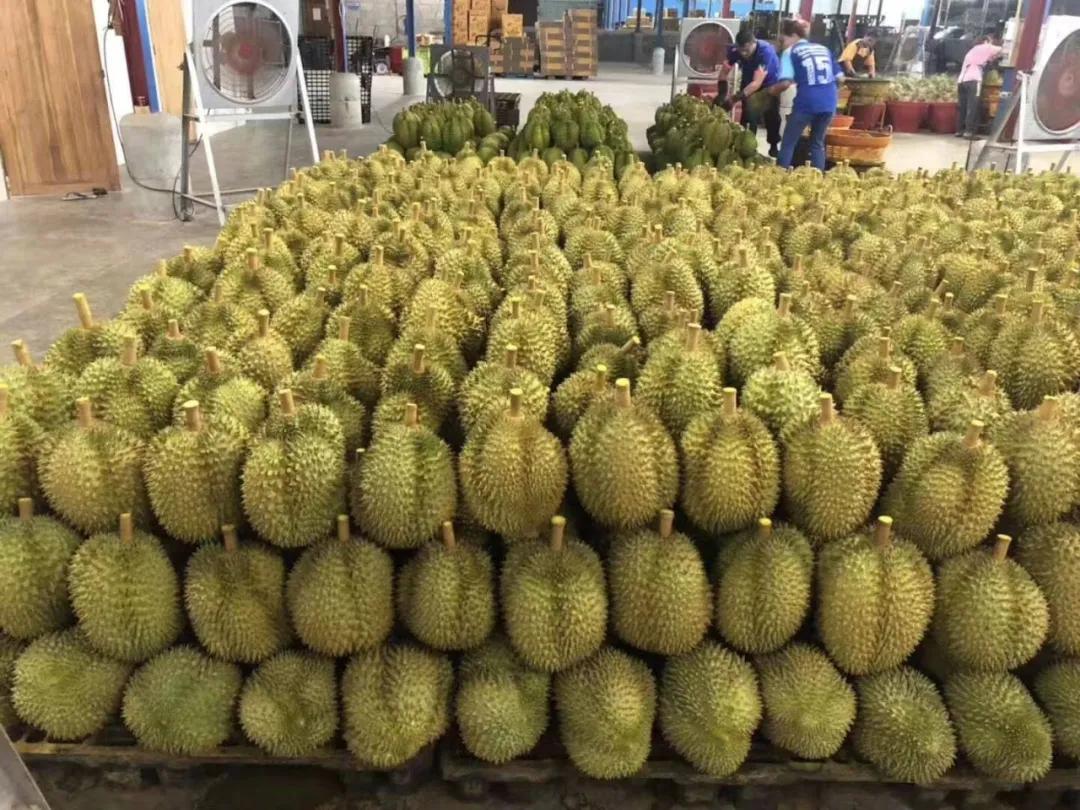 進(jìn)口外貿(mào)代理