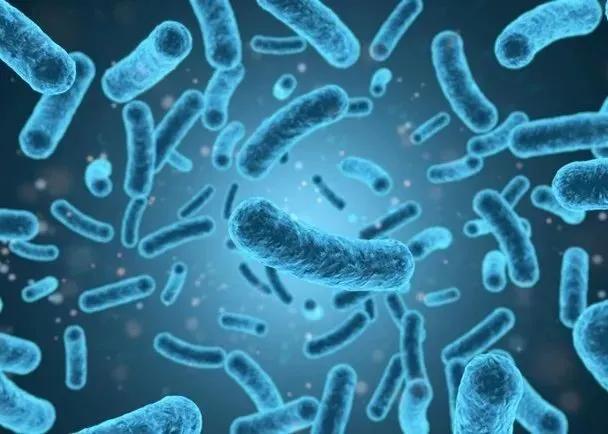 進(jìn)口外貿(mào)代理