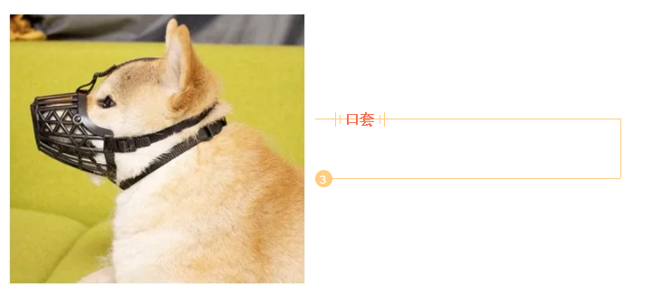 進(jìn)口外貿(mào)代理