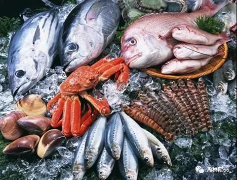 進(jìn)口外貿(mào)代理