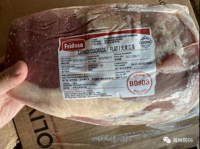 進(jìn)口外貿(mào)代理