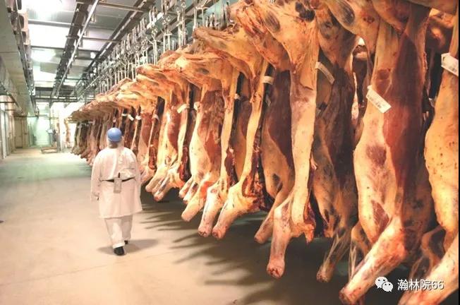 進口外貿(mào)代理