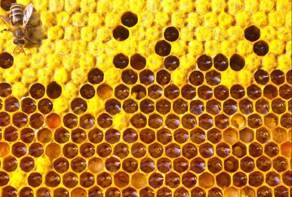 進(jìn)口外貿(mào)代理