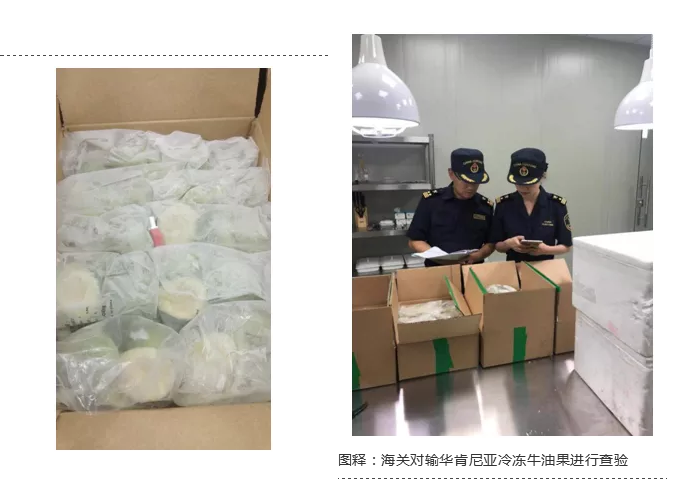 進口外貿(mào)代理