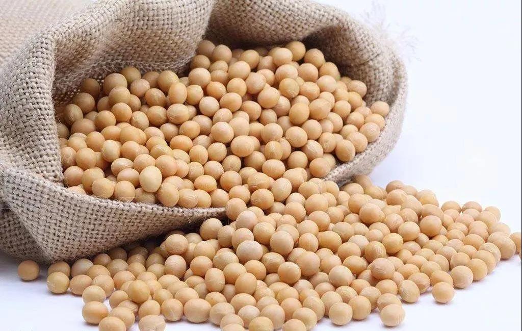 進(jìn)口外貿(mào)代理