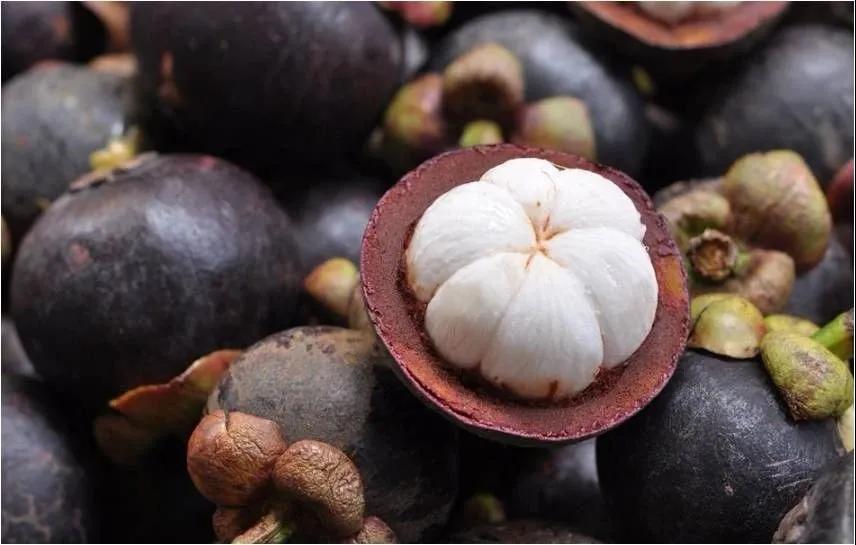 進(jìn)口外貿(mào)代理