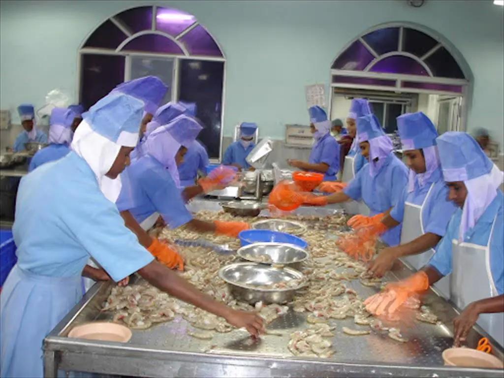 進口外貿(mào)代理