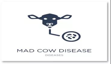 進(jìn)口外貿(mào)代理