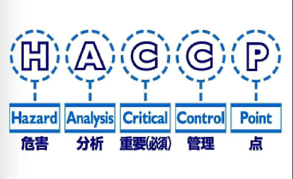 出口外貿(mào)代理