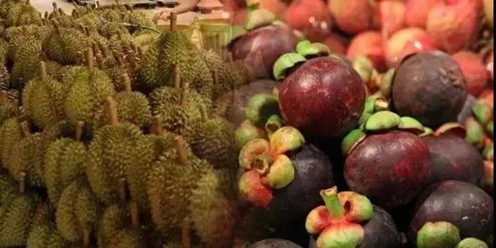 進(jìn)口外貿(mào)代理