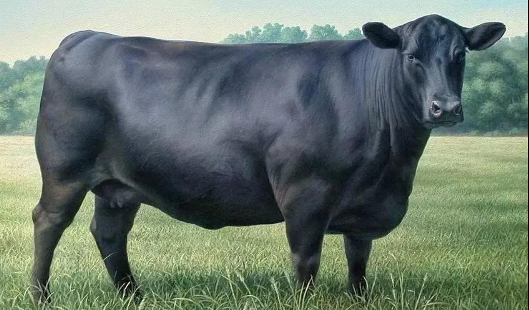 進(jìn)口外貿(mào)代理