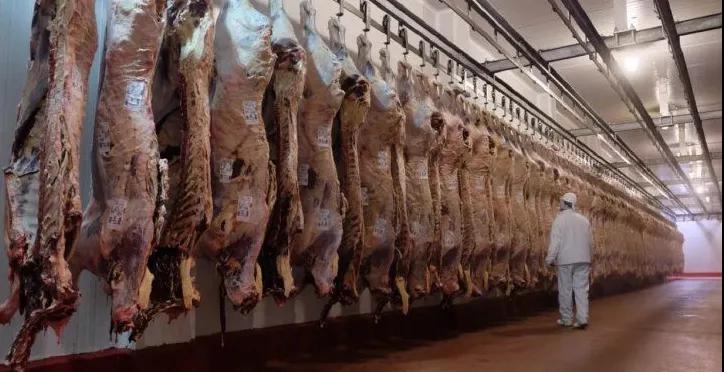 進口外貿(mào)代理