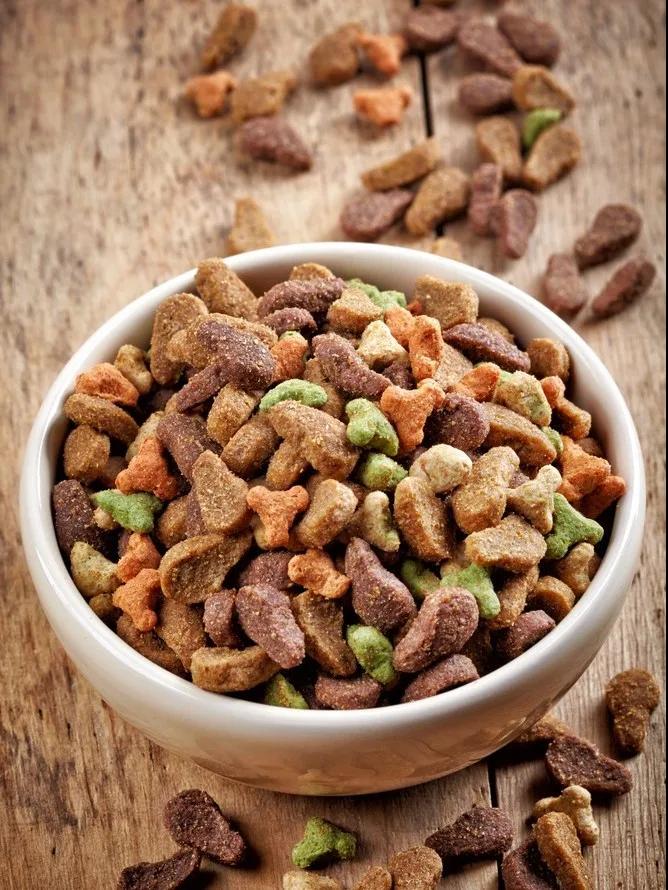 出口外貿(mào)代理