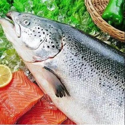 進(jìn)口外貿(mào)代理