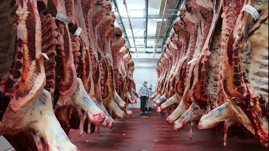 進(jìn)口外貿(mào)代理