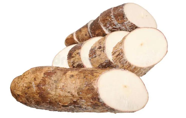 進口外貿(mào)代理