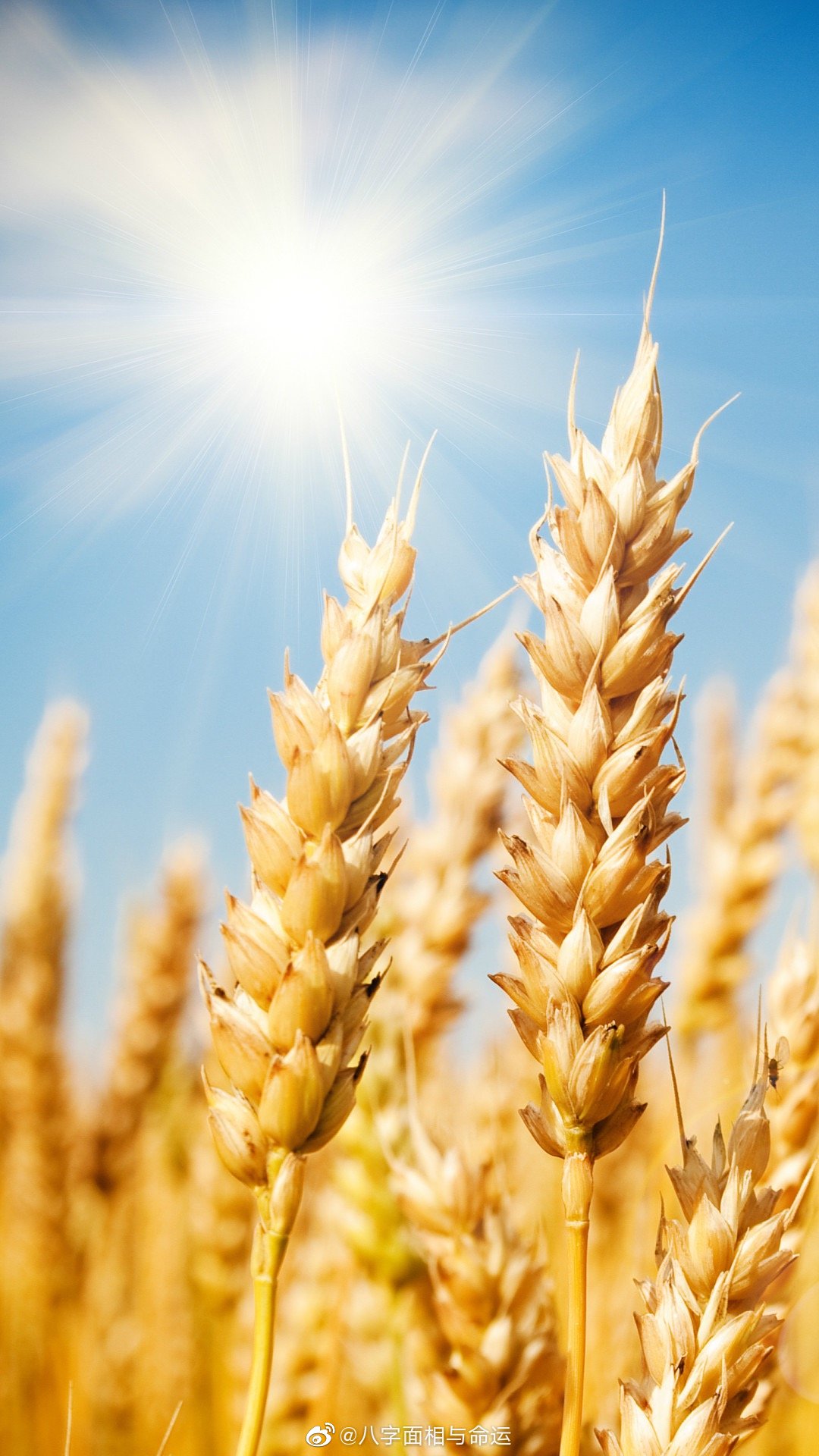 進口外貿(mào)代理