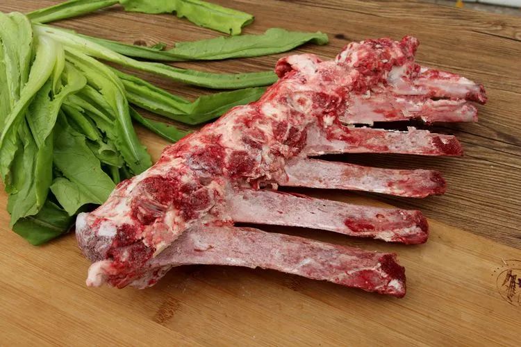 進(jìn)口外貿(mào)代理