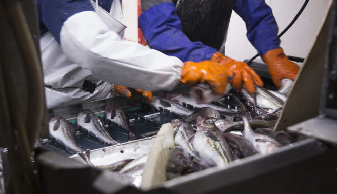 進(jìn)口外貿(mào)代理