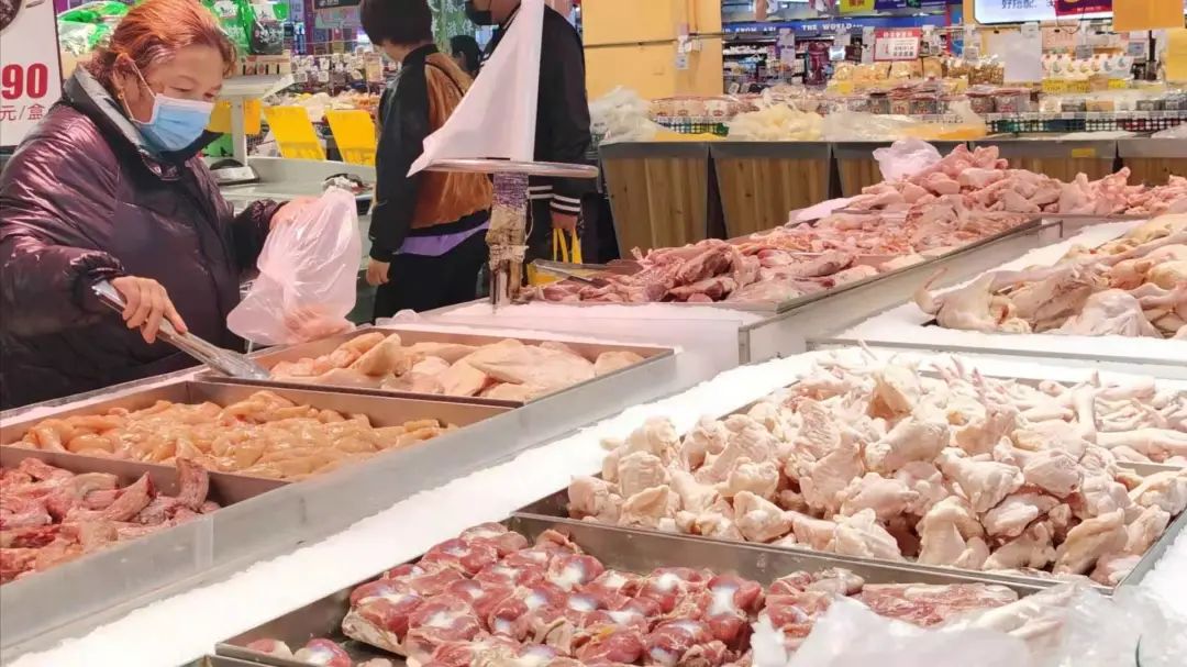 進口外貿(mào)代理