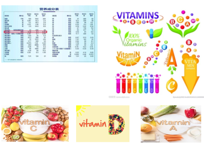 進(jìn)口外貿(mào)代理