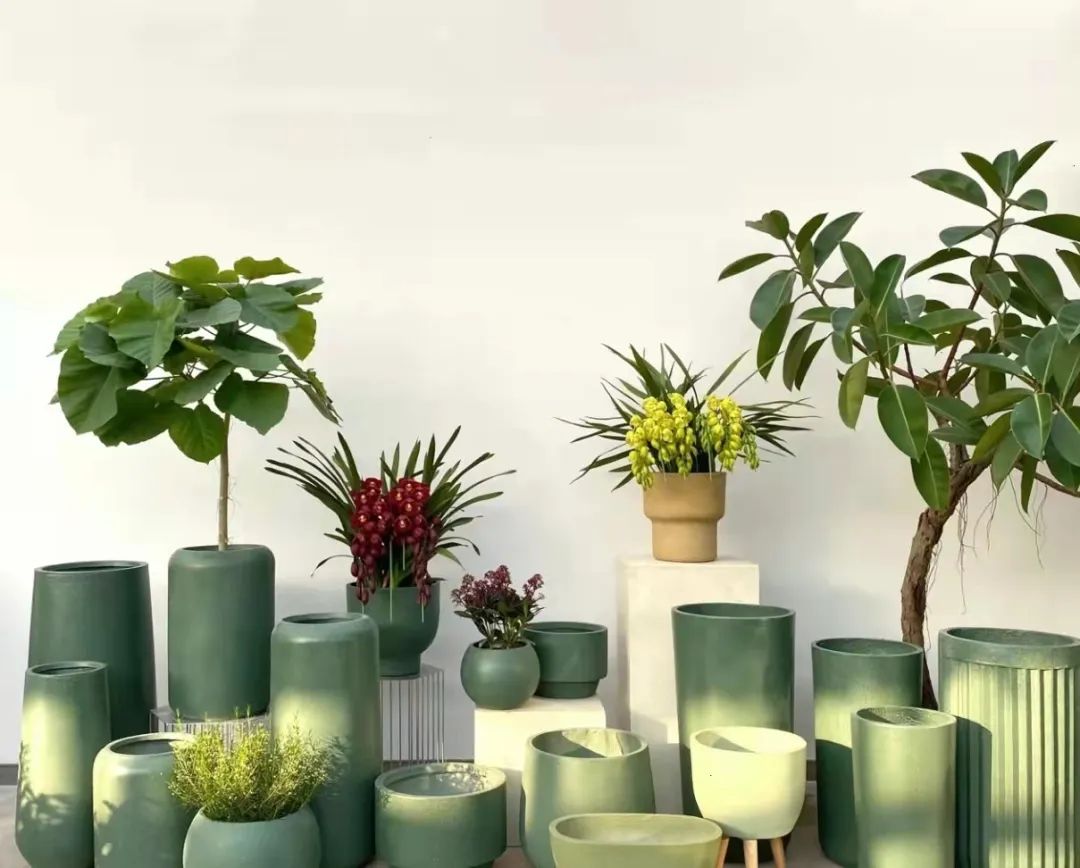 進口外貿(mào)代理