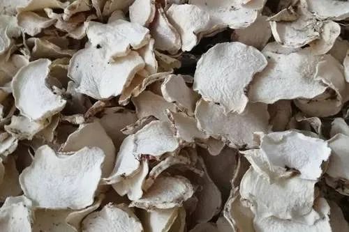 進(jìn)口外貿(mào)代理