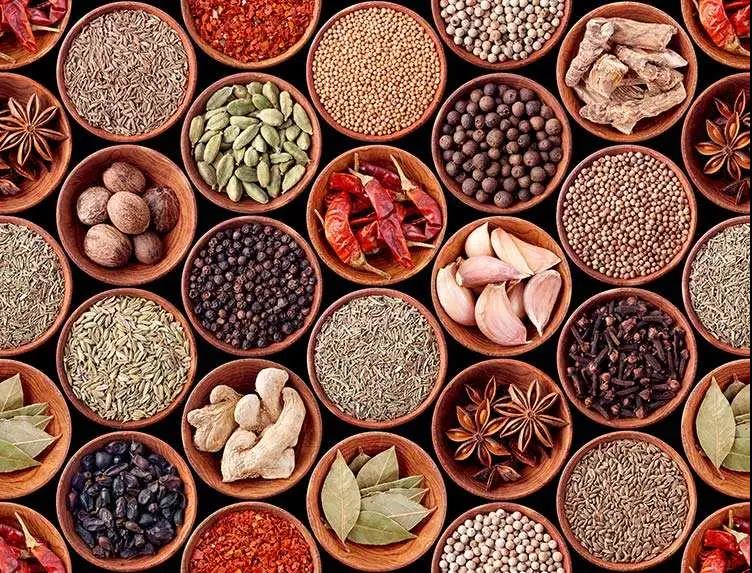 進(jìn)口外貿(mào)代理