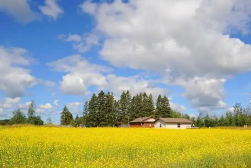 進(jìn)口外貿(mào)代理