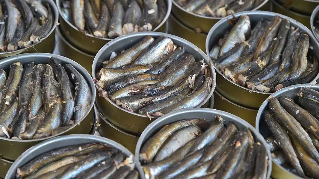 進(jìn)口外貿(mào)代理