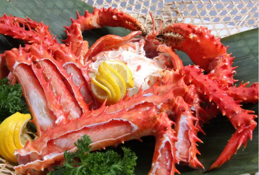 進(jìn)口外貿(mào)代理