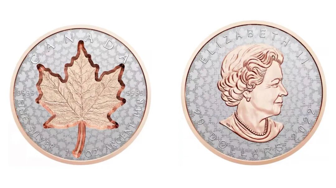 進(jìn)口外貿(mào)代理